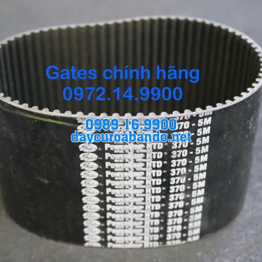 DÂY CUROA GATES 370-5M