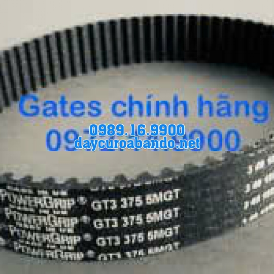 DÂY CUROA GATES 375-5MGT
