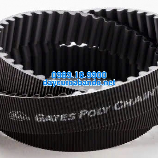 DÂY CUROA POLYCHAIN 14MGT-3850