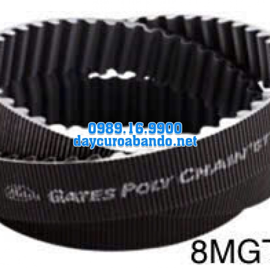 DÂY CUROA POLYCHAIN 8MGT-416