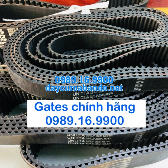 DÂY CUROA GATES 8YU CHÍNH HÃNG