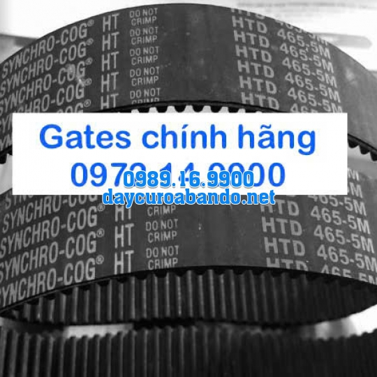 DÂY CUROA GATES 465-5M