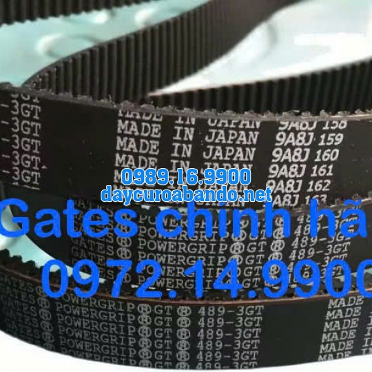 DÂY CUROA GATES 489-3GT