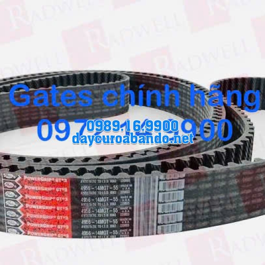 DÂY CUROA GATES 4956-14MGT