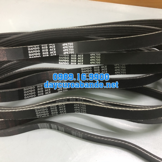 BANDO RIB ACE PK
