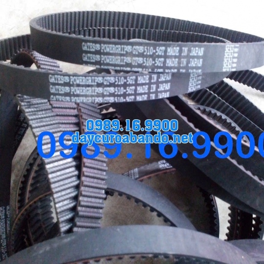 DÂY CUROA GATES 510-5GT