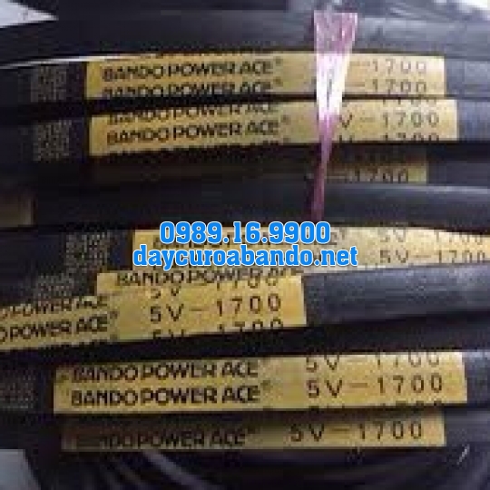 BANDO 5V1700