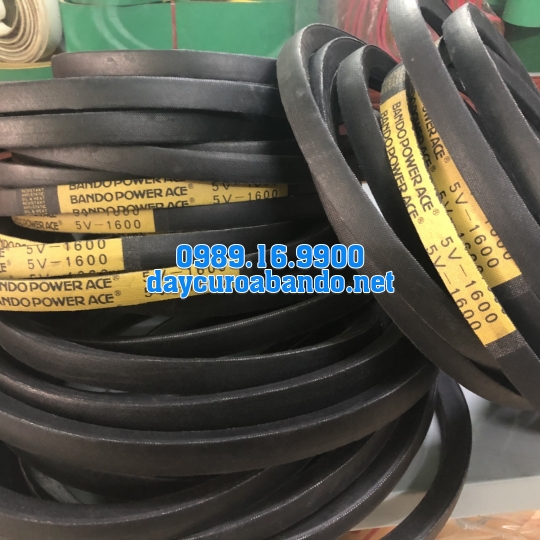 BANDO 5V1600