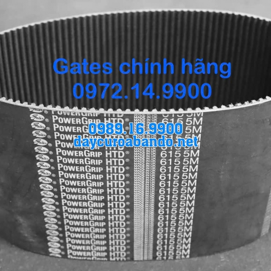 DÂY CUROA GATES 615-5M