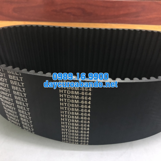 DÂY CUROA SUNDT 664-8M