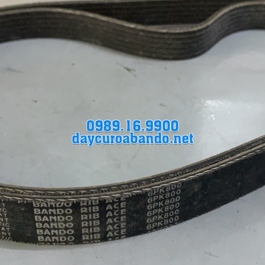 BANDO 6PK-800