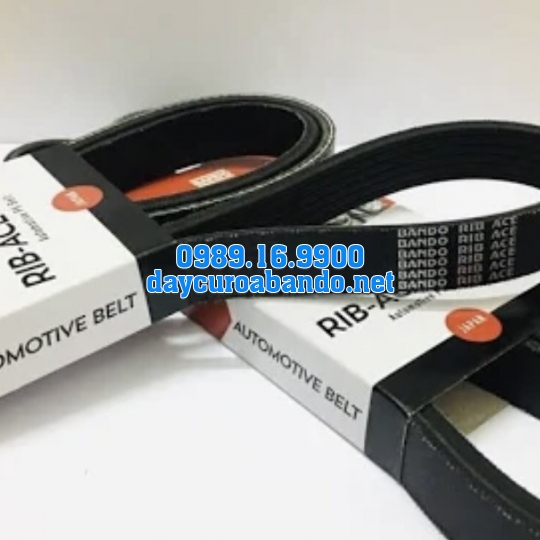 BANDO RIB ACE 18PK