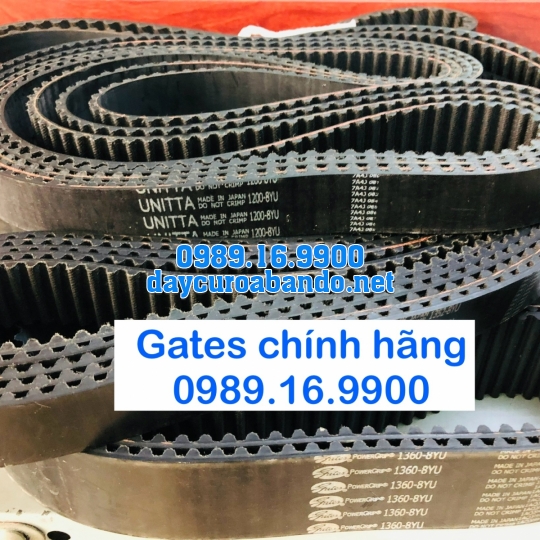 DÂY CUROA 8YU HIỆU GATES 
