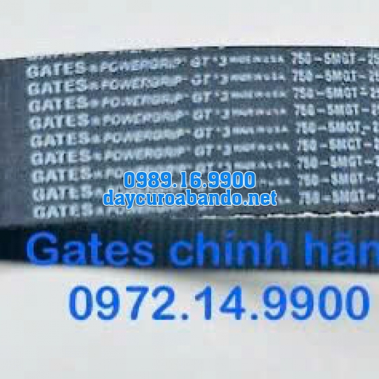 DÂY CUROA GATES 750-5MGT