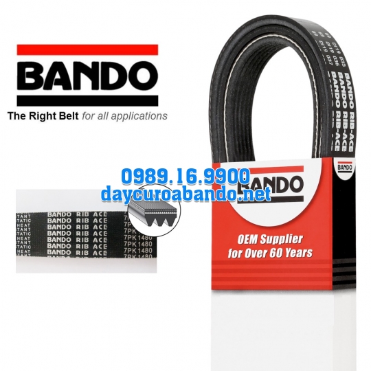 BANDO 16PK