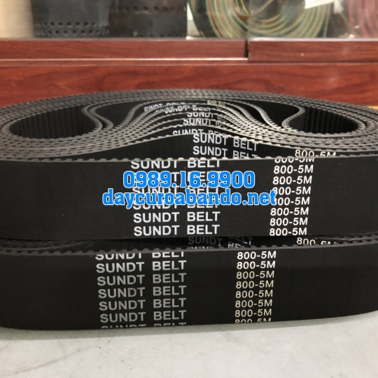 DÂY CUROA SUNDT 800-5M