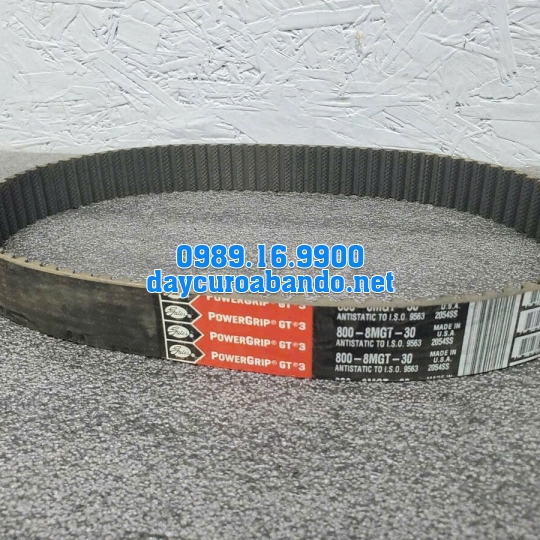 DÂY CUROA GATES 800-8MGT