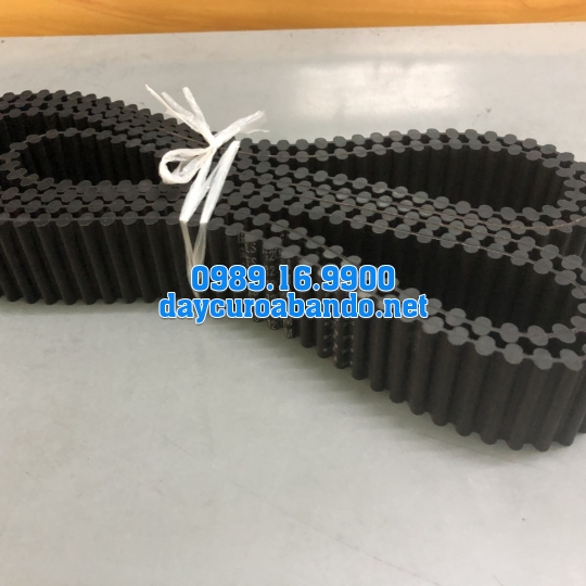 DÂY CUROA GATES TP8M-800