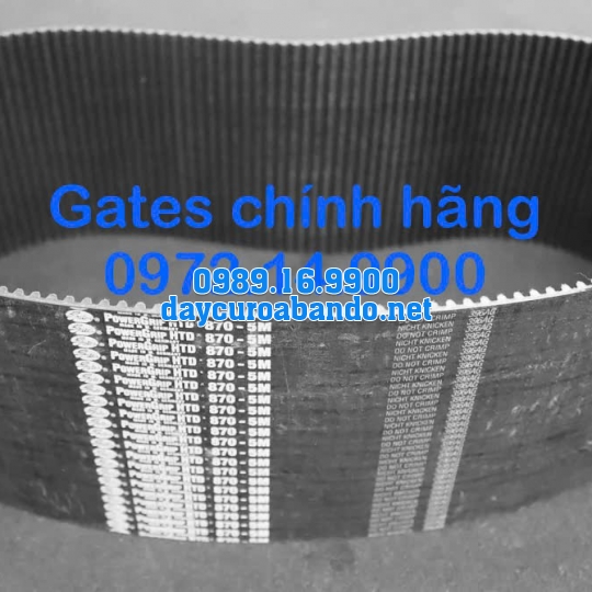 DÂY CUROA GATES 870-5M