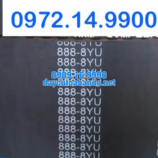DÂY CUROA GATES 888-8YU