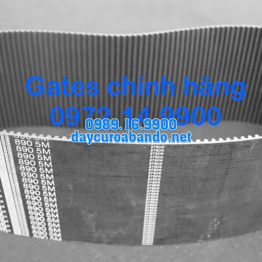 DÂY CUROA GATES 890-5M