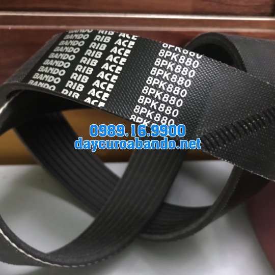 BANDO RIB ACE 8PK