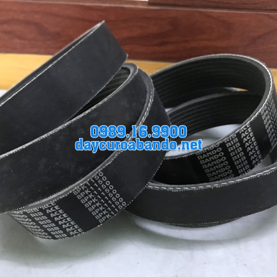 BANDO RIB ACE 8PK