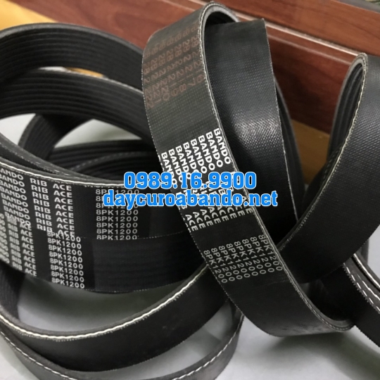 BANDO RIB ACE 8PK
