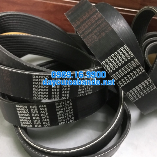 BANDO RIB ACE PK