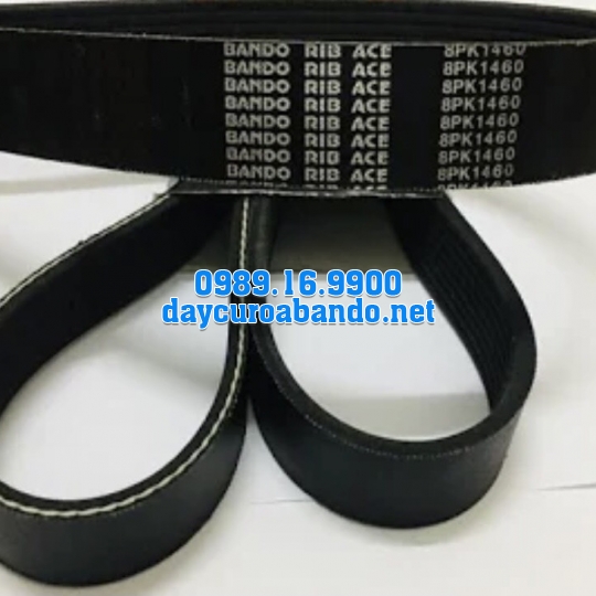 BANDO RIB ACE 8PK