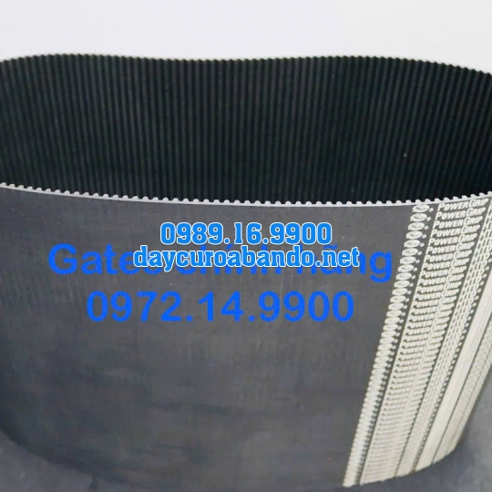 DÂY CUROA GATES 950-5M
