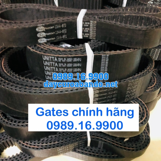 DÂY CUROA 8YU HIỆU GATES 