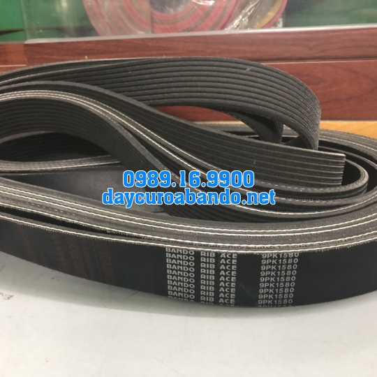BANDO RIB ACE 18PK