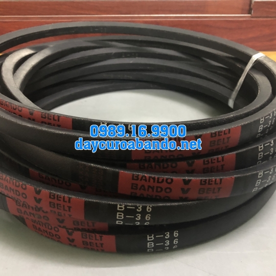 V-BELT B36