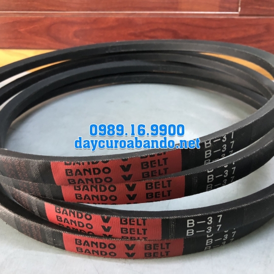 V-BELT B37