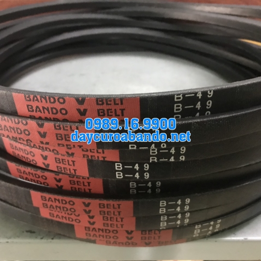 V-BELT B49