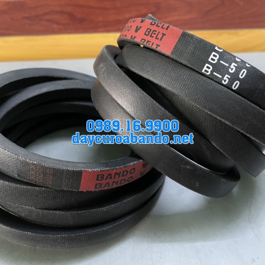 V-BELT B50
