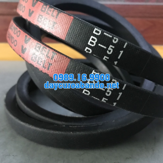V-BELT B51