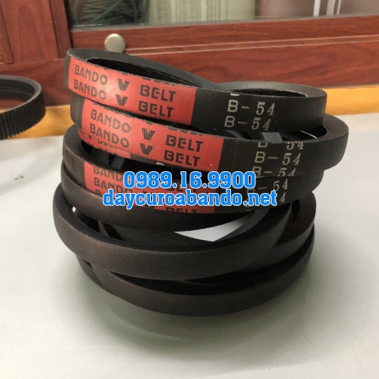 V-BELT B54