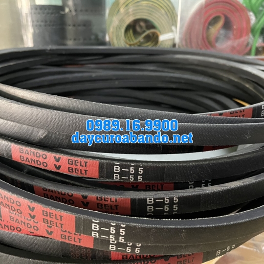 V-BELT B55