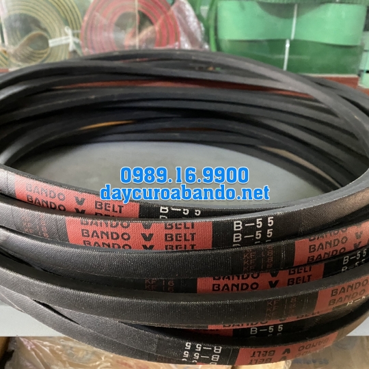 V-BELT B55