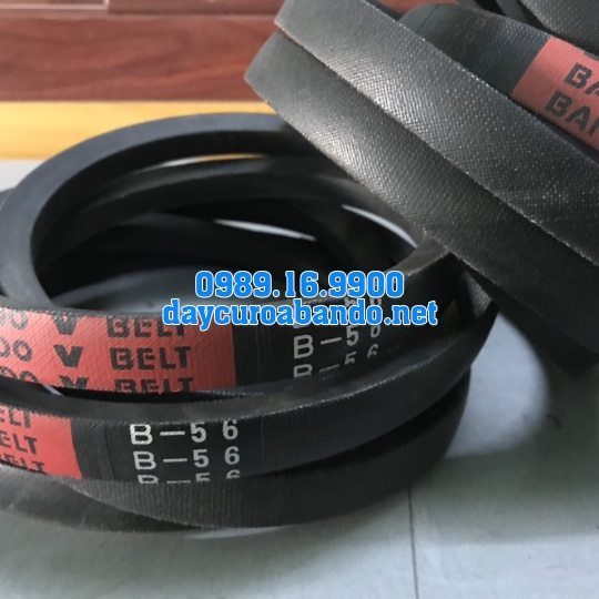 V-BELT B56