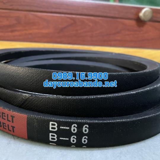 V-BELT B66