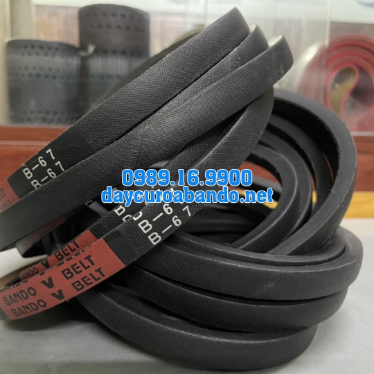 V-BELT B67