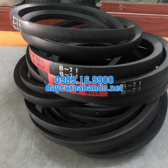 V-BELT B71