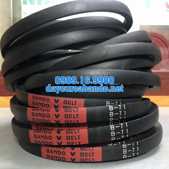 V-BELT B71