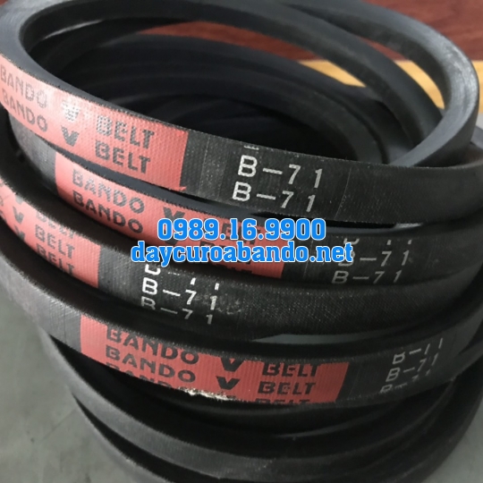 V-BELT B71