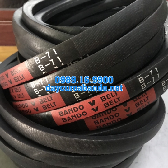 V-BELT B71