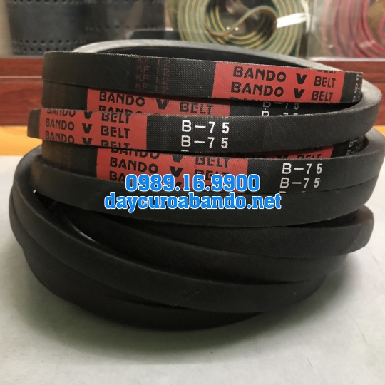 V-BELT B75