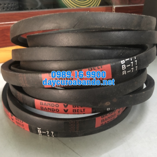 V-BELT B77